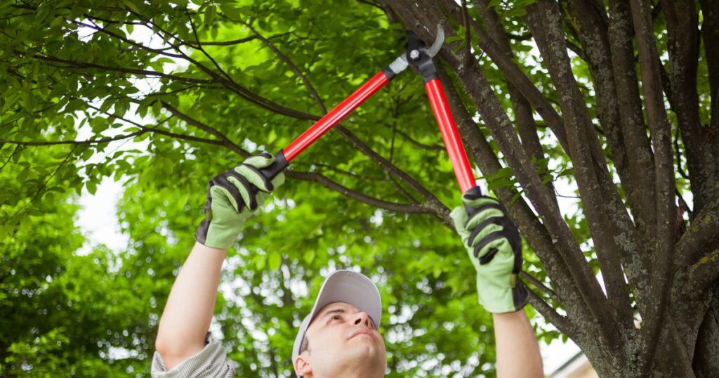 unveiling-the-mystery-what-does-a-landscaper-charge-per-hour