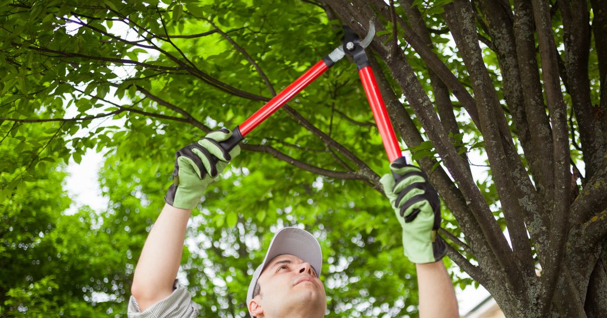 what does a landscaper charge per hour