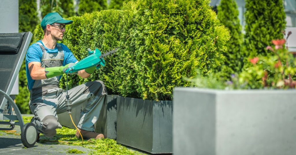 what questions to ask a landscaper