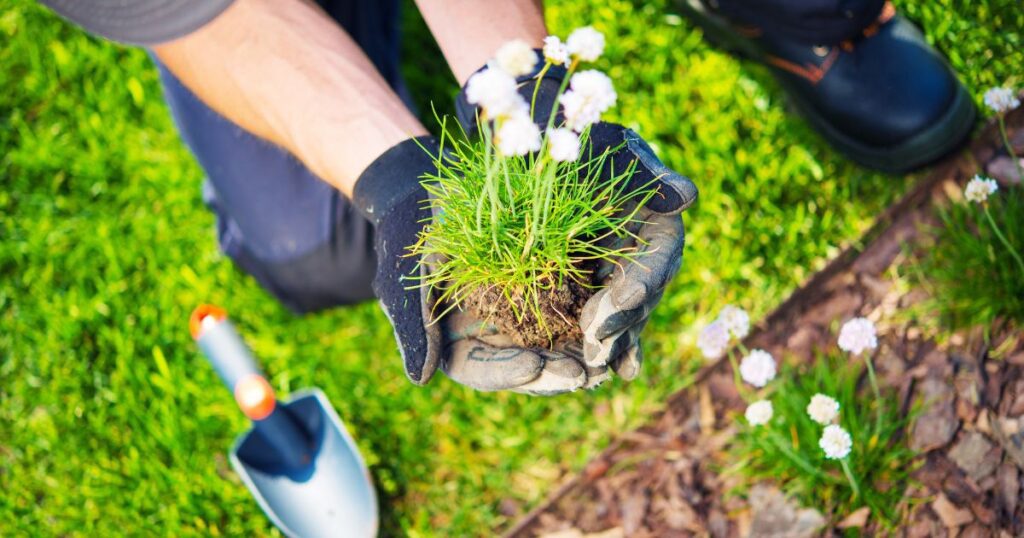 when is the best time to hire a landscaper