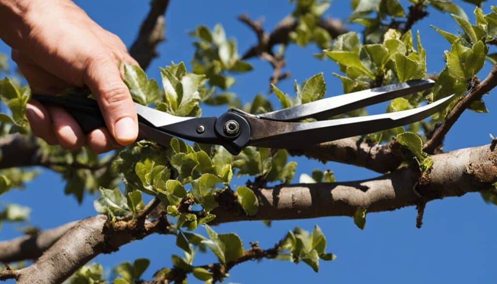 pruning tools